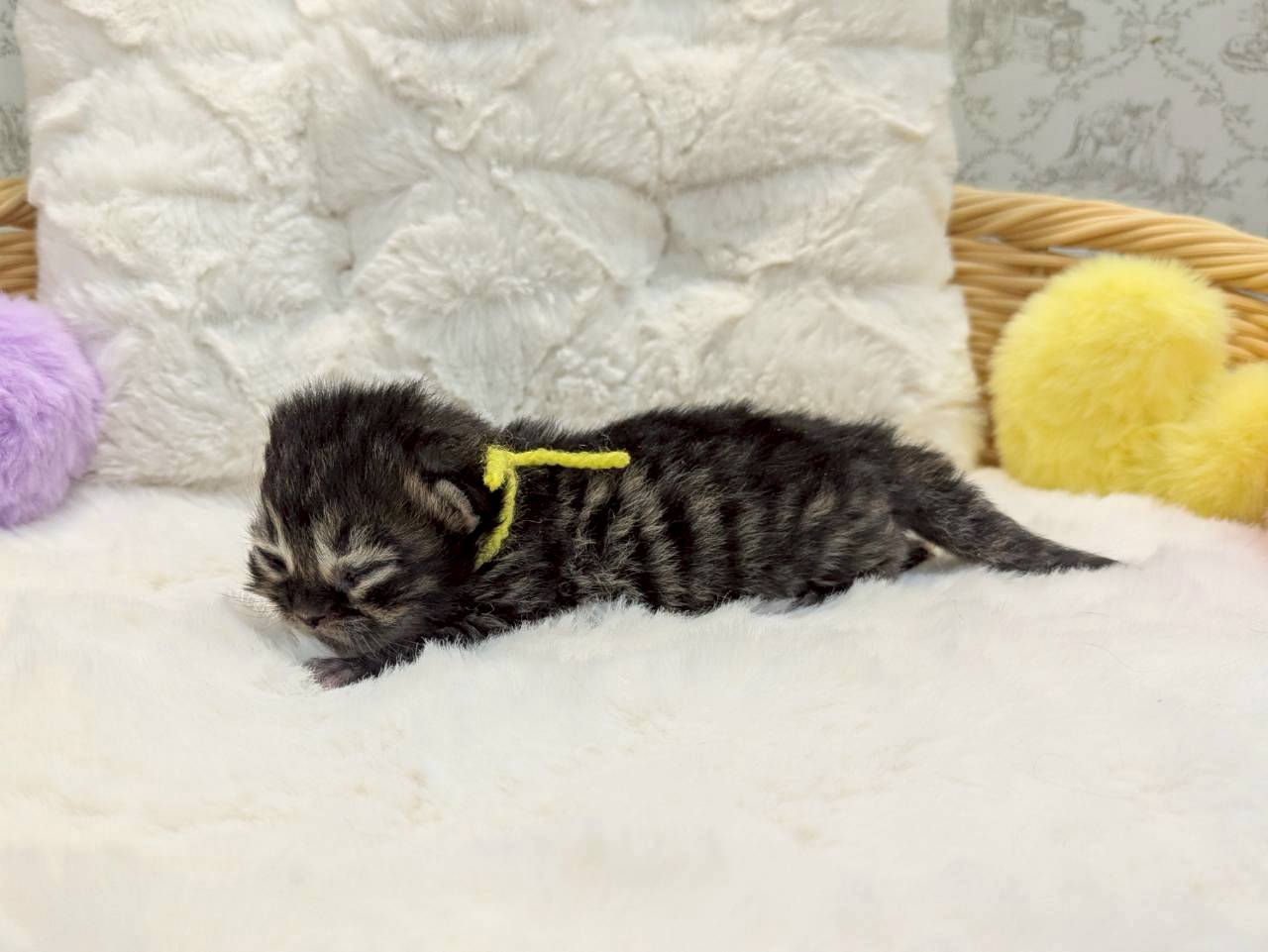 赤ちゃん写真1-2
