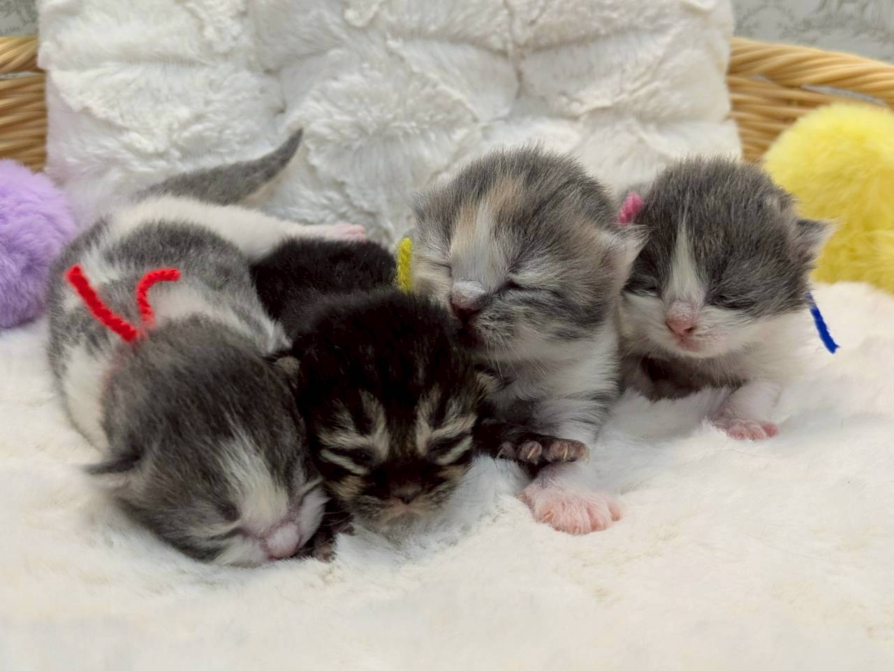 赤ちゃん写真1-3