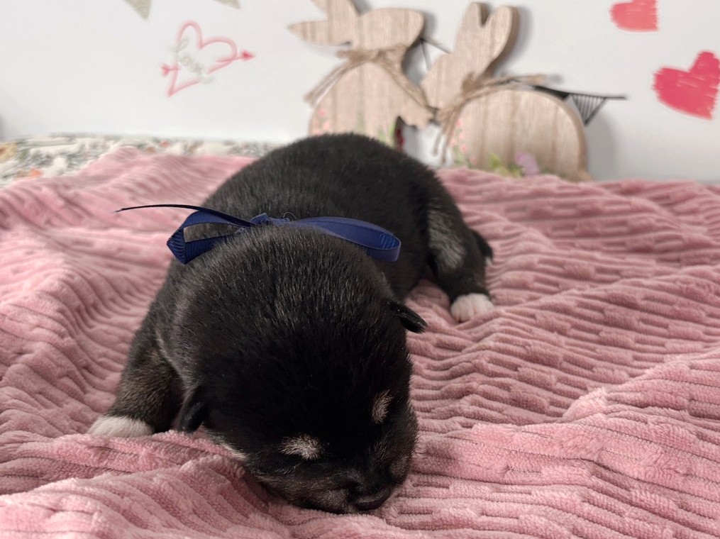 赤ちゃん写真1-1