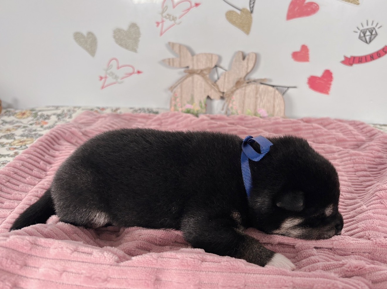 赤ちゃん写真1-2
