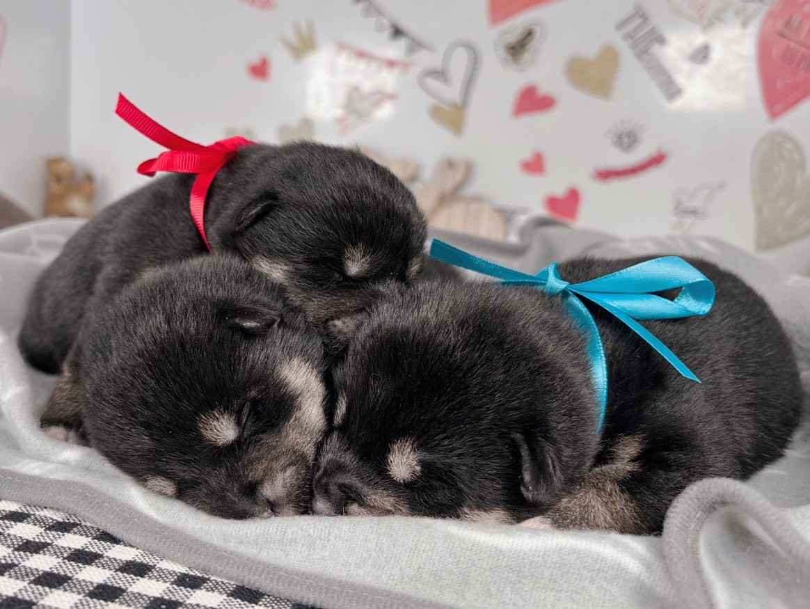 赤ちゃん写真1-3