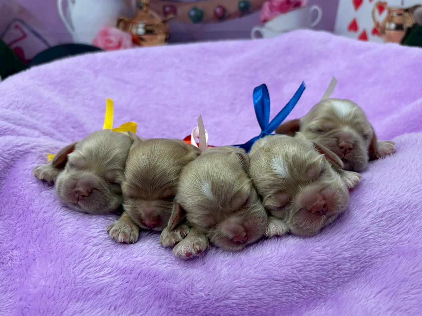 赤ちゃん写真1-3