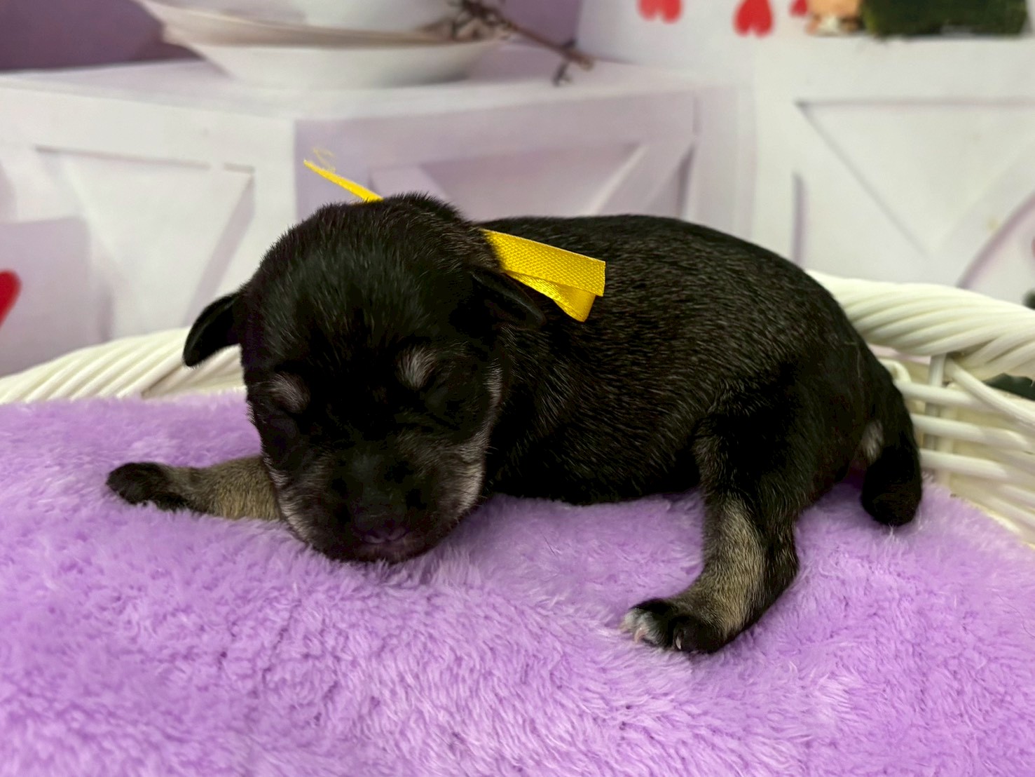 赤ちゃん写真1-2