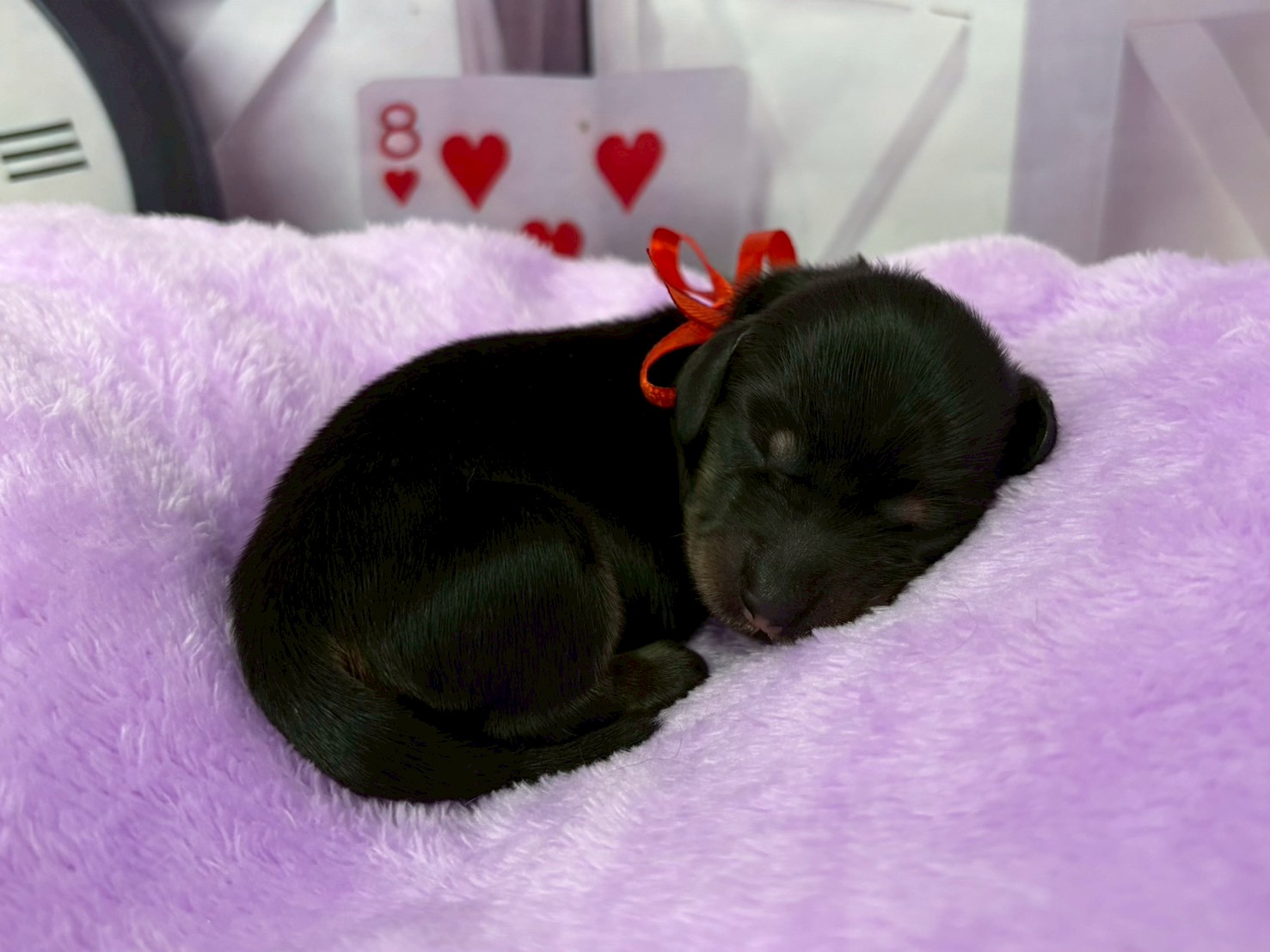 赤ちゃん写真1-2