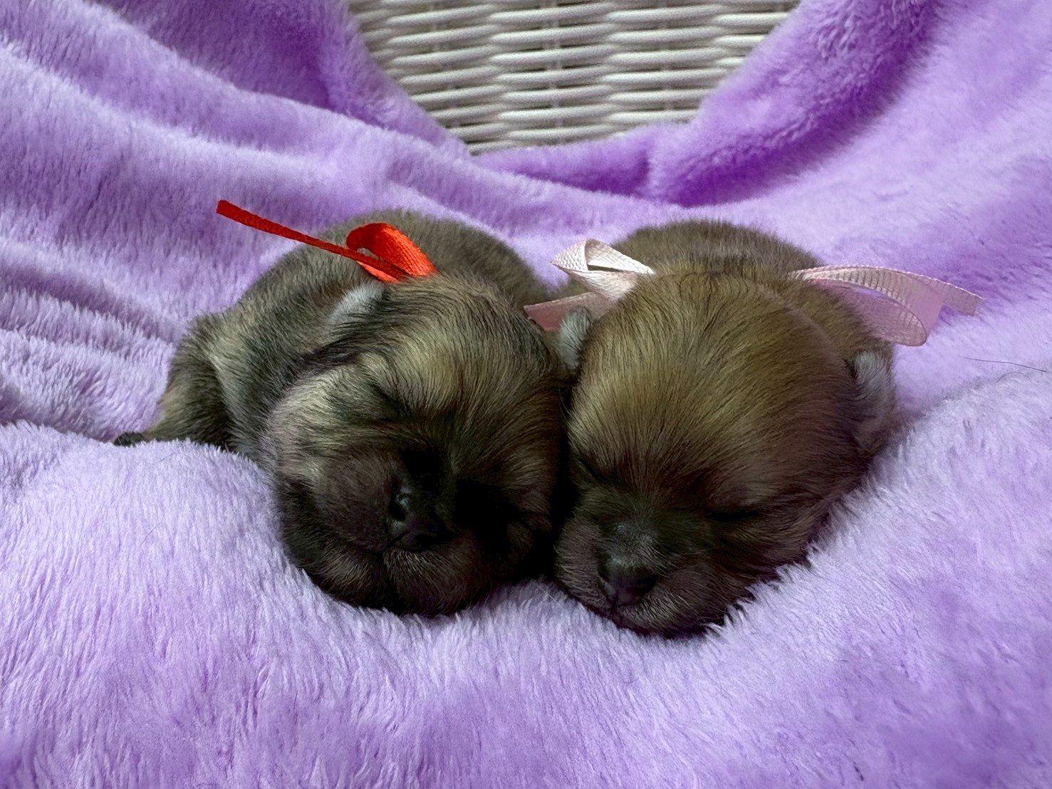 赤ちゃん写真1-3