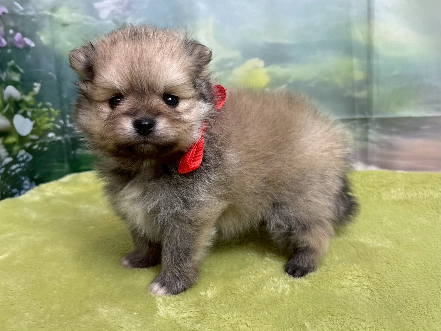 赤ちゃん写真2-2