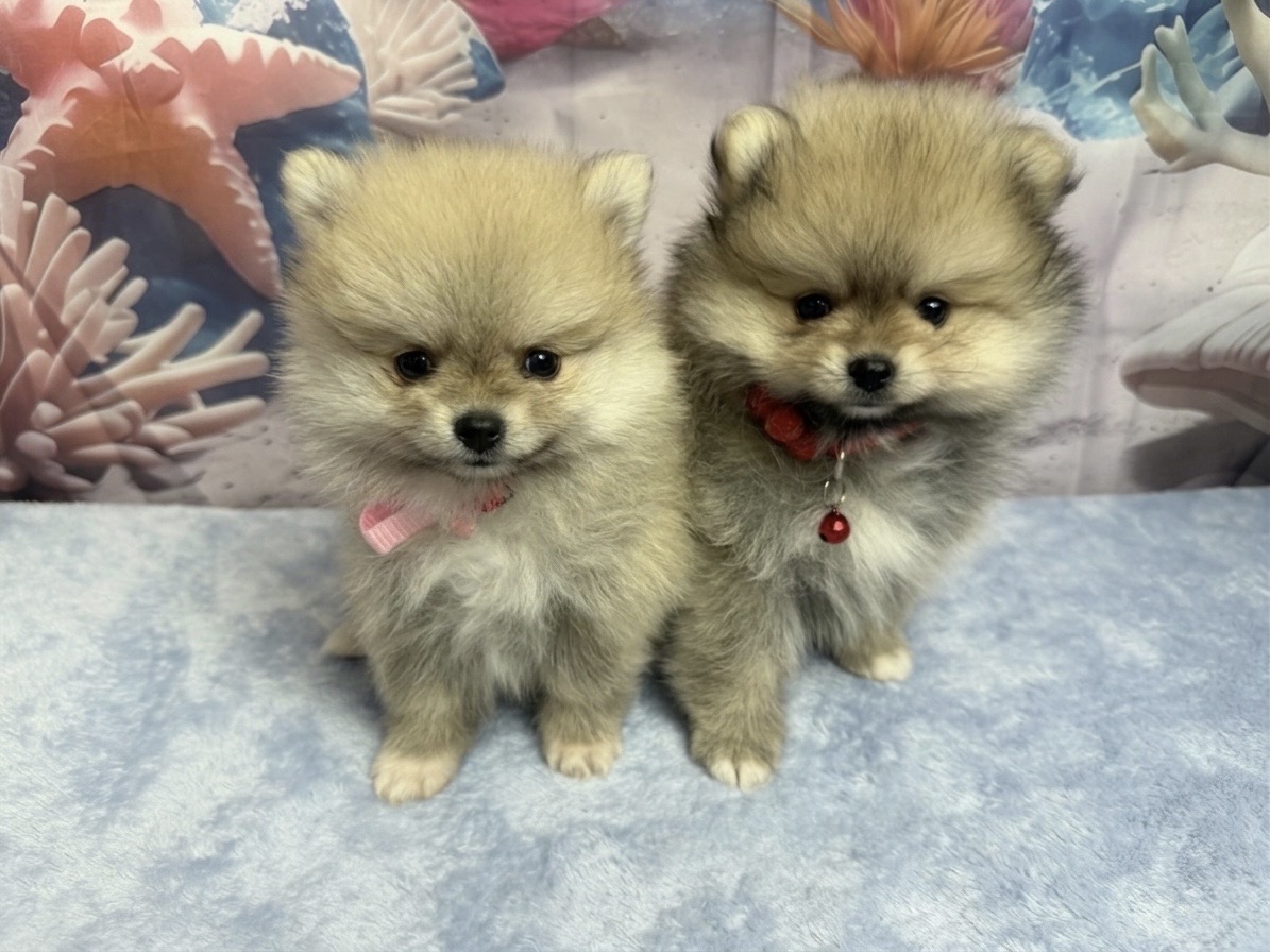 赤ちゃん写真3-3