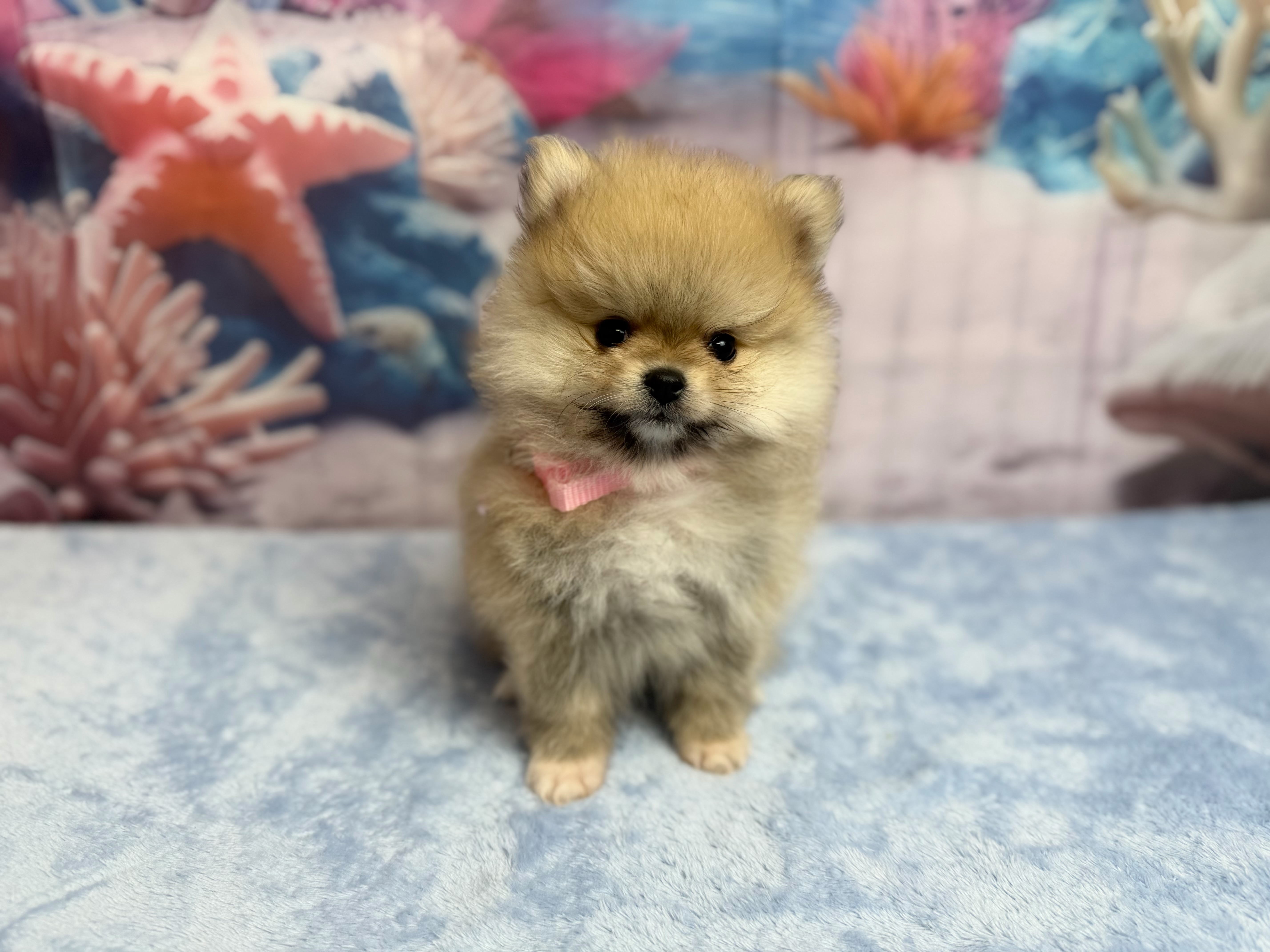 赤ちゃん写真3-1