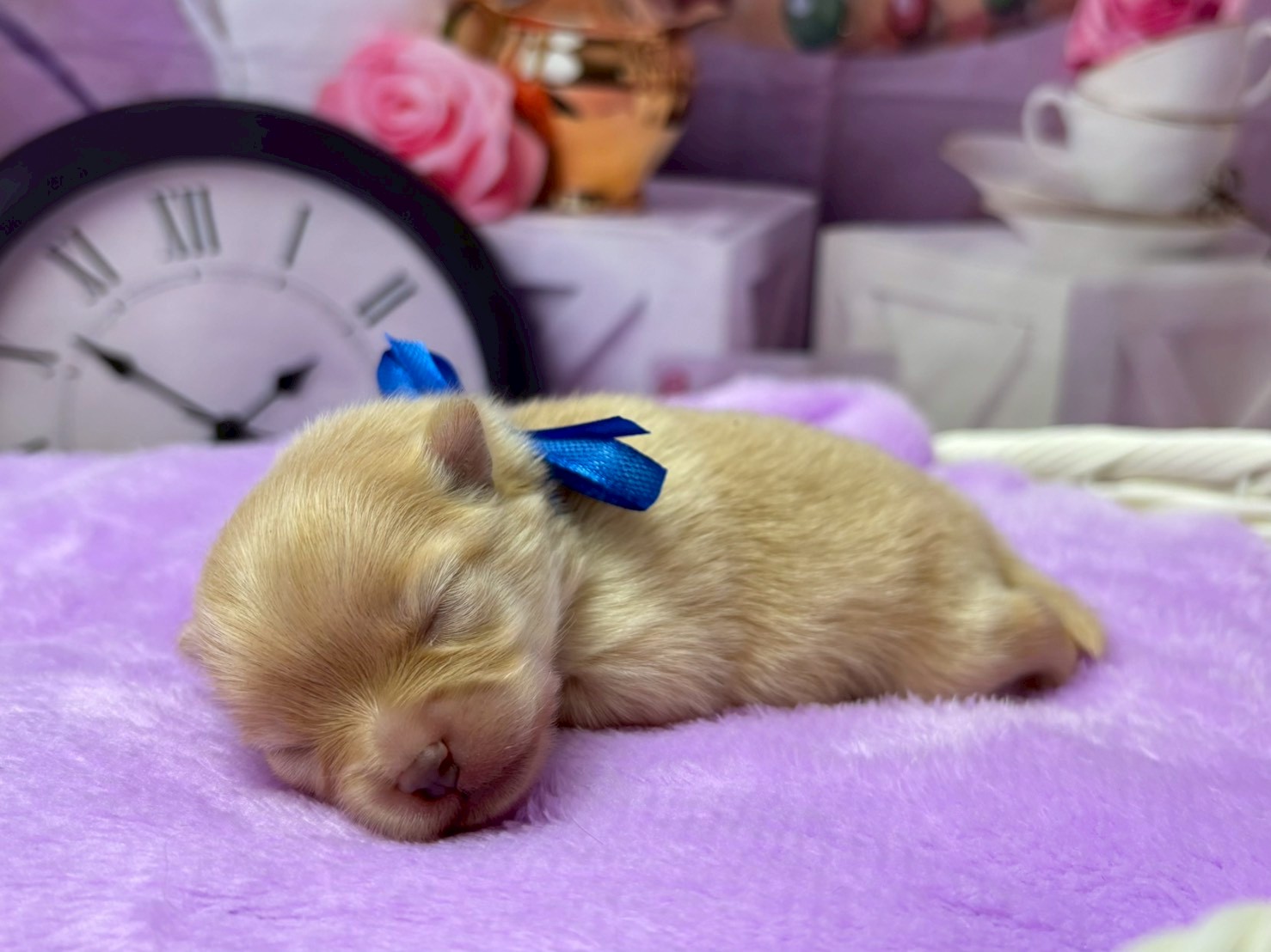 赤ちゃん写真1-2