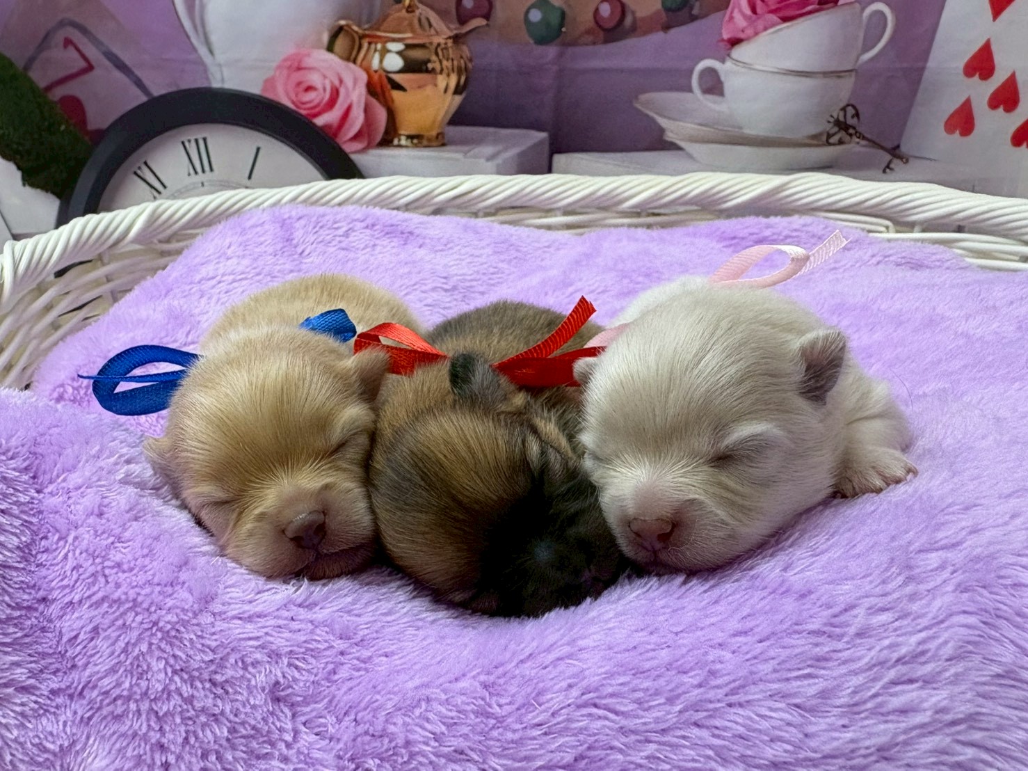 赤ちゃん写真1-3