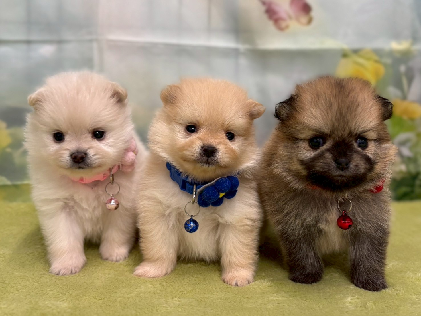 赤ちゃん写真2-3