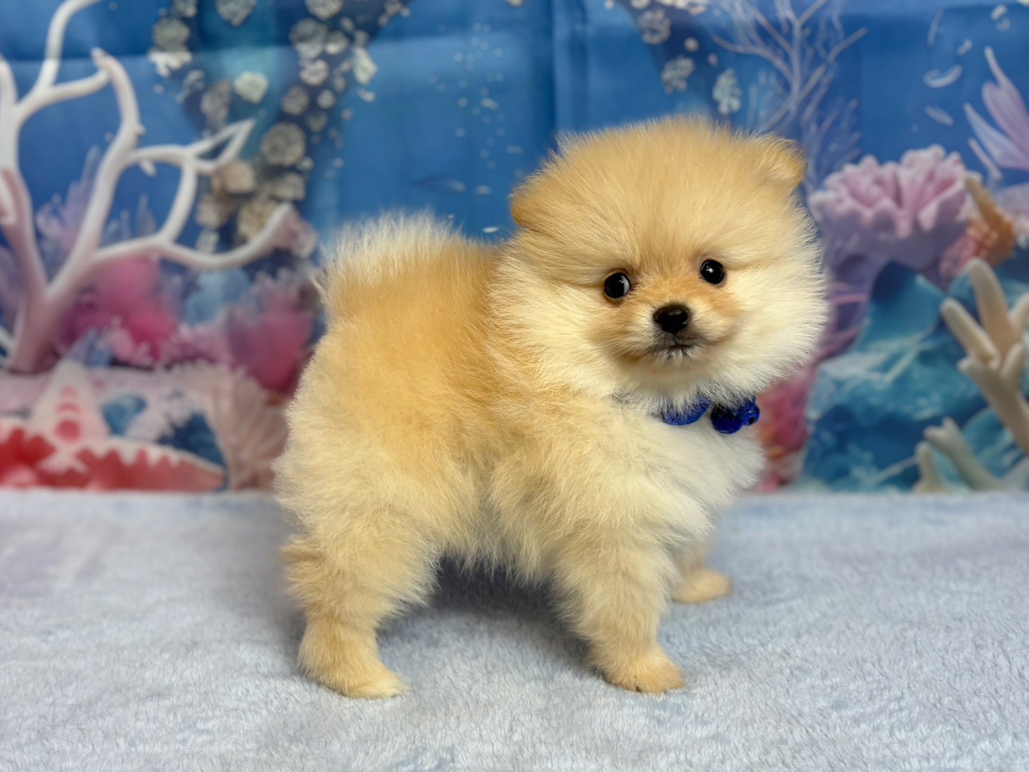 赤ちゃん写真3-2