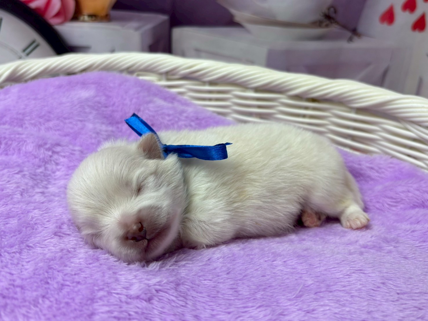 赤ちゃん写真1-2