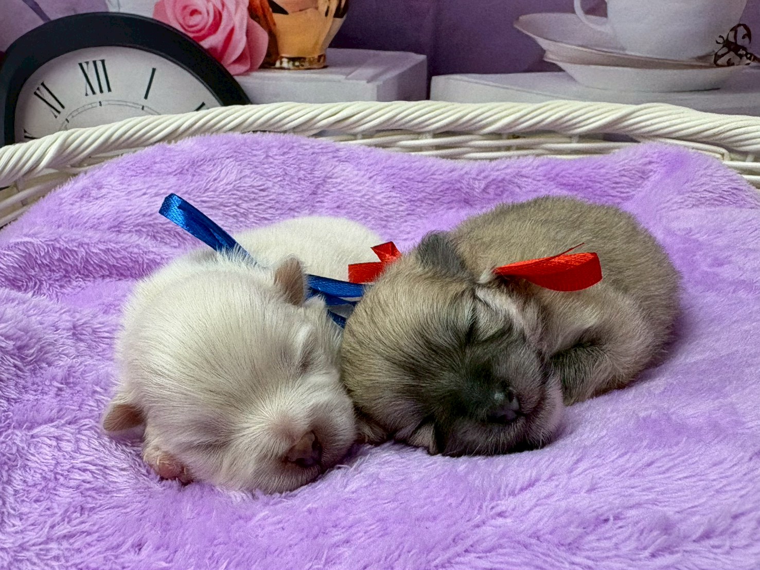 赤ちゃん写真1-3