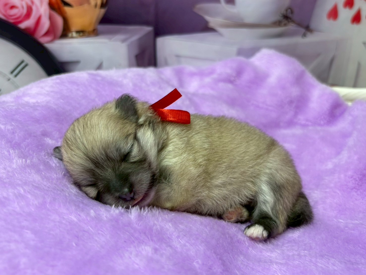 赤ちゃん写真1-2