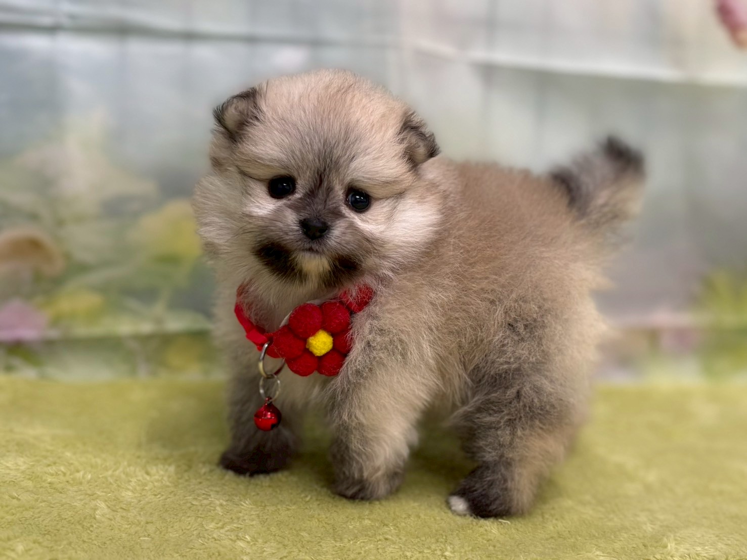 赤ちゃん写真2-2