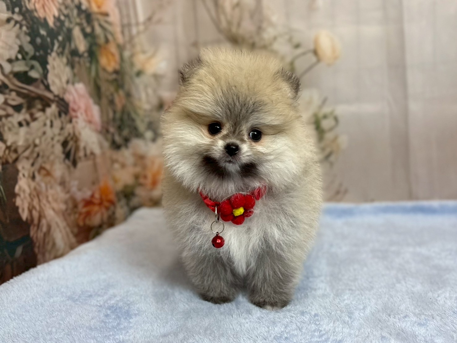 赤ちゃん写真3-1