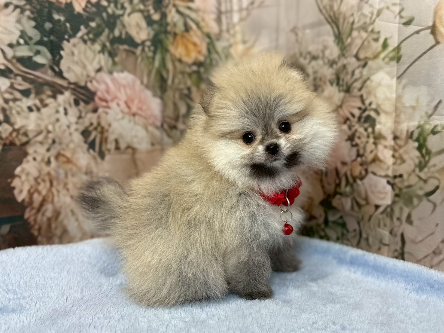 赤ちゃん写真3-2