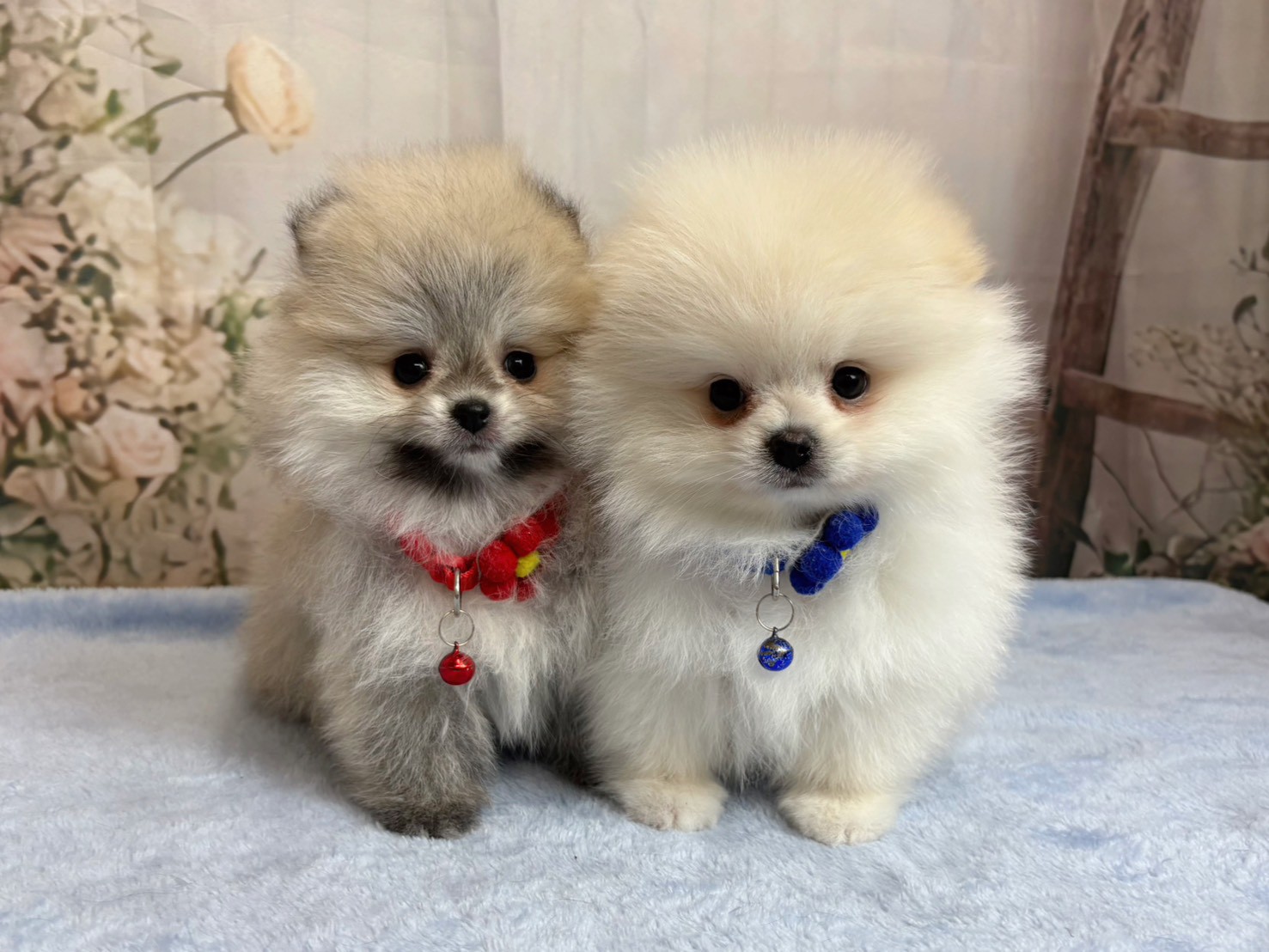 赤ちゃん写真3-3