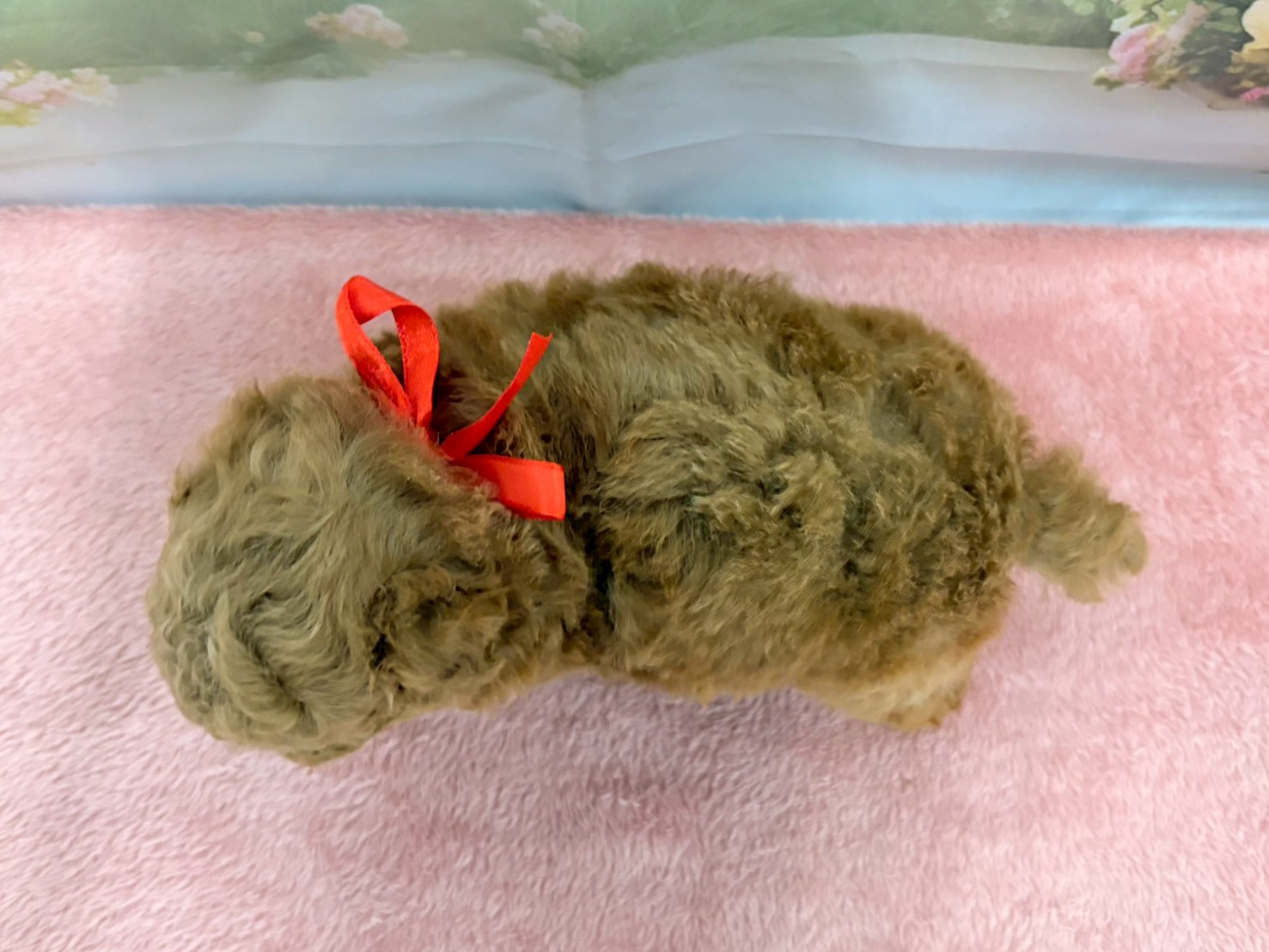 赤ちゃん写真2-3