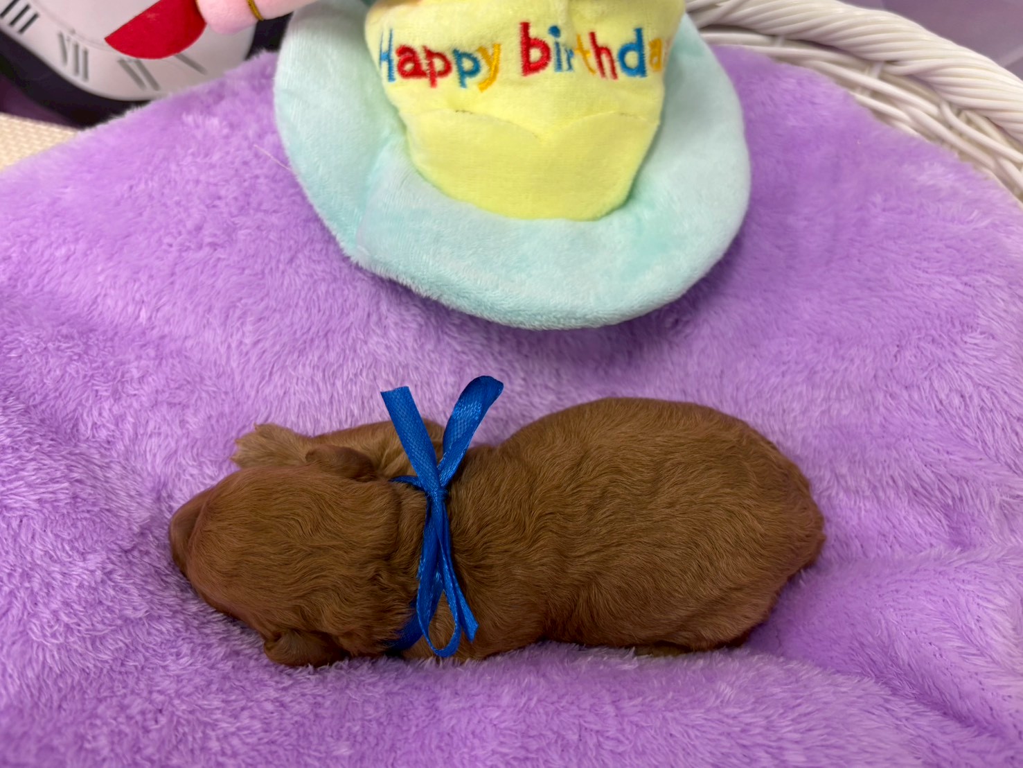 赤ちゃん写真1-3