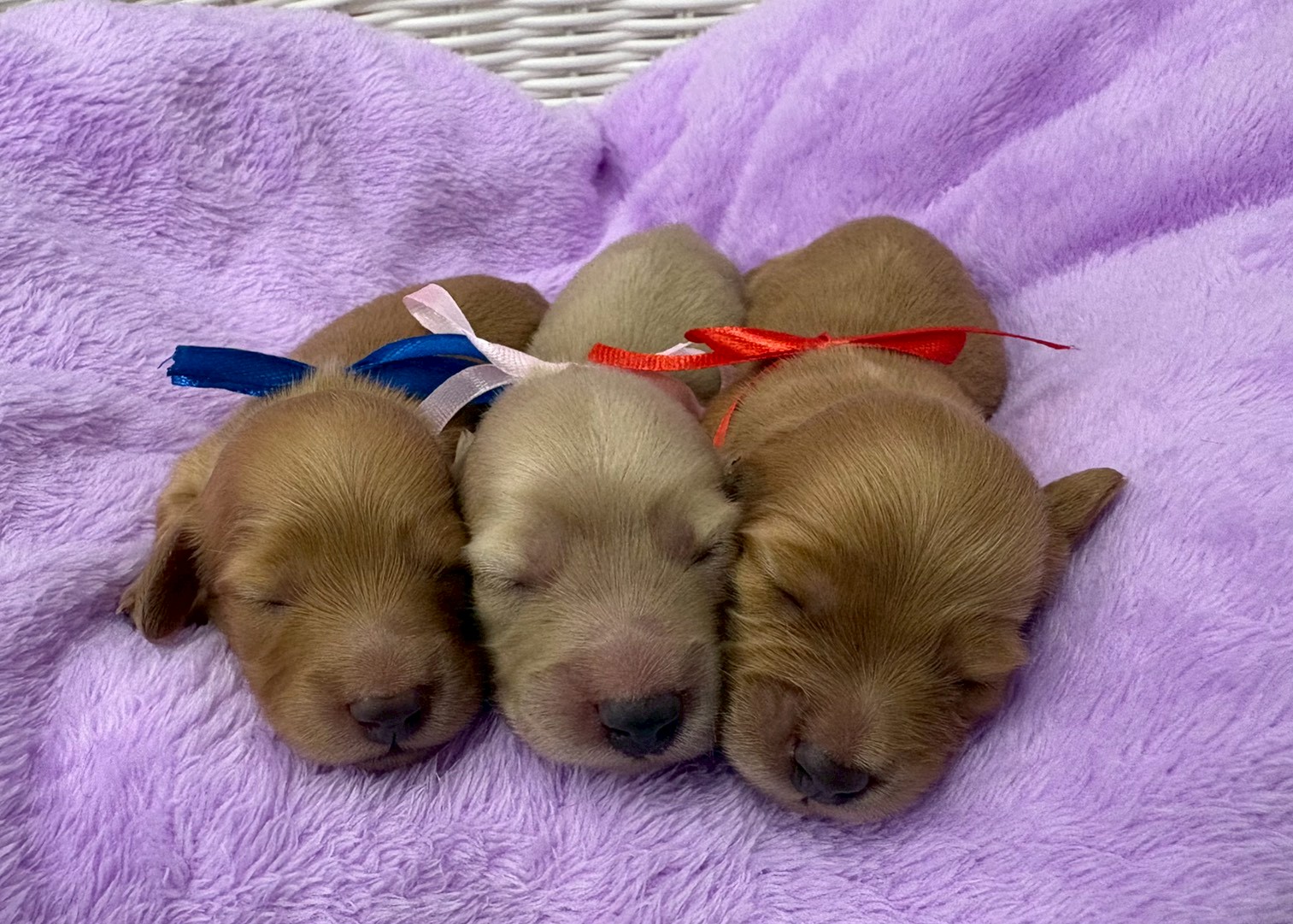 赤ちゃん写真1-3