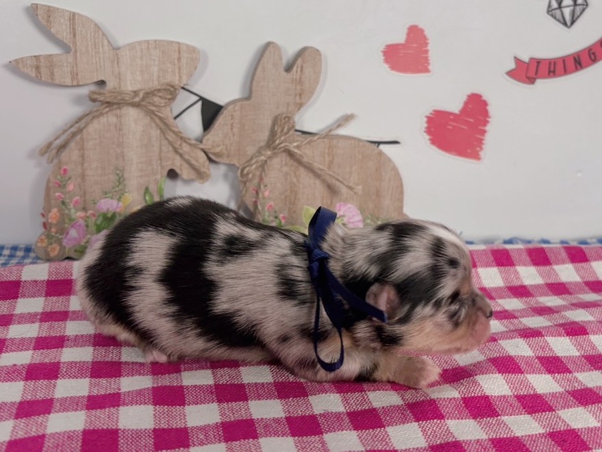 赤ちゃん写真1-2
