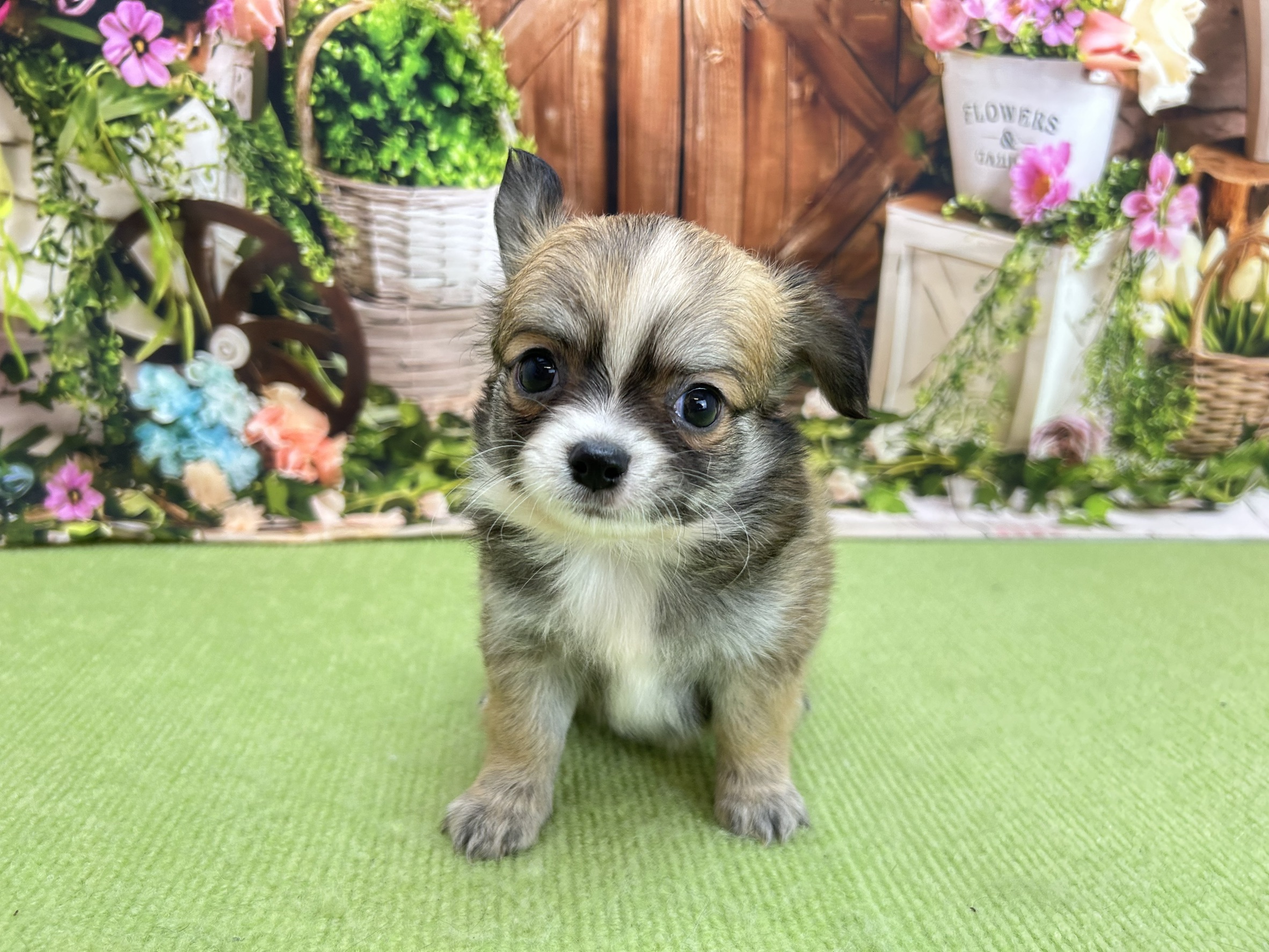 赤ちゃん写真2-1
