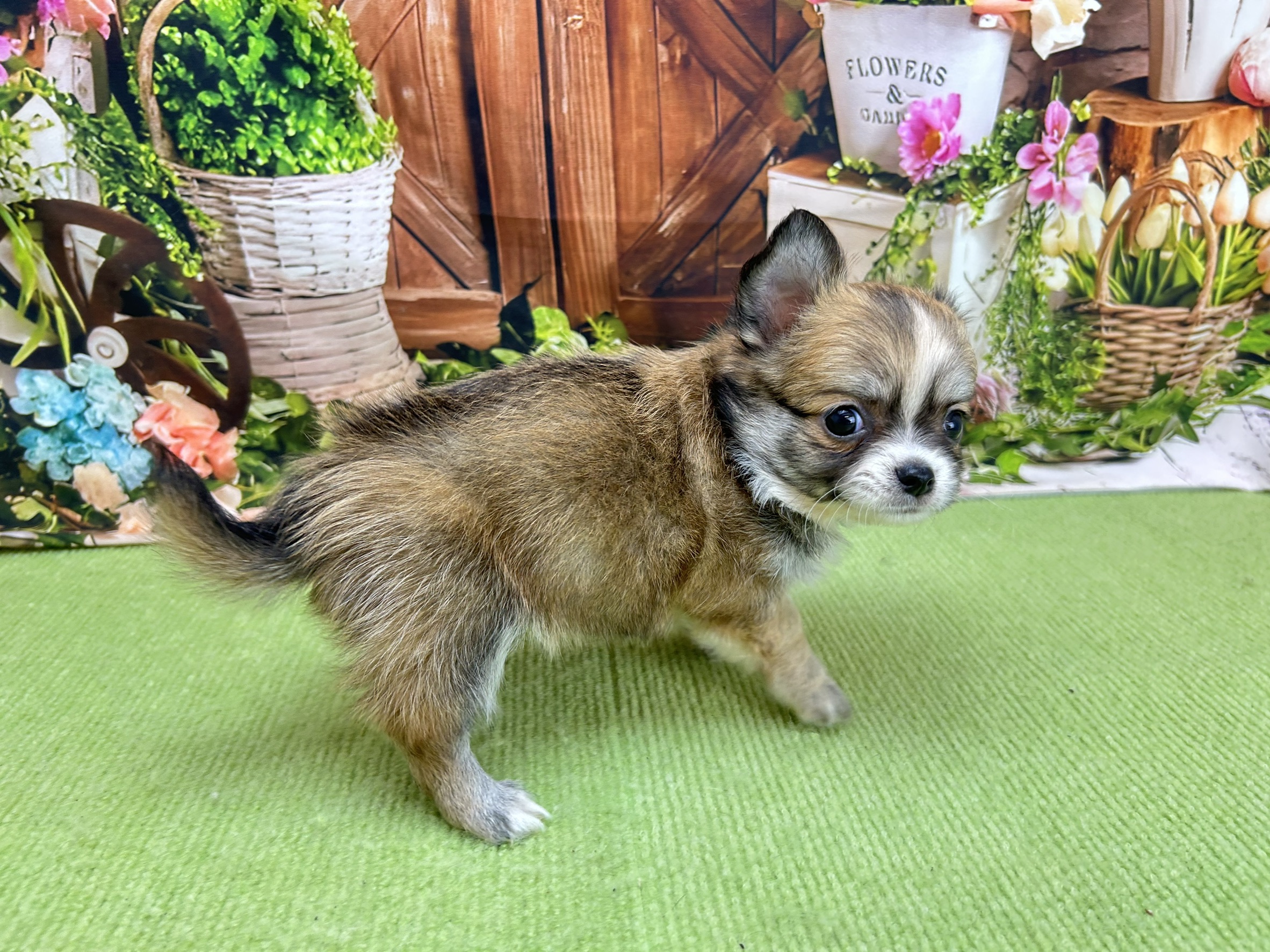 赤ちゃん写真2-2