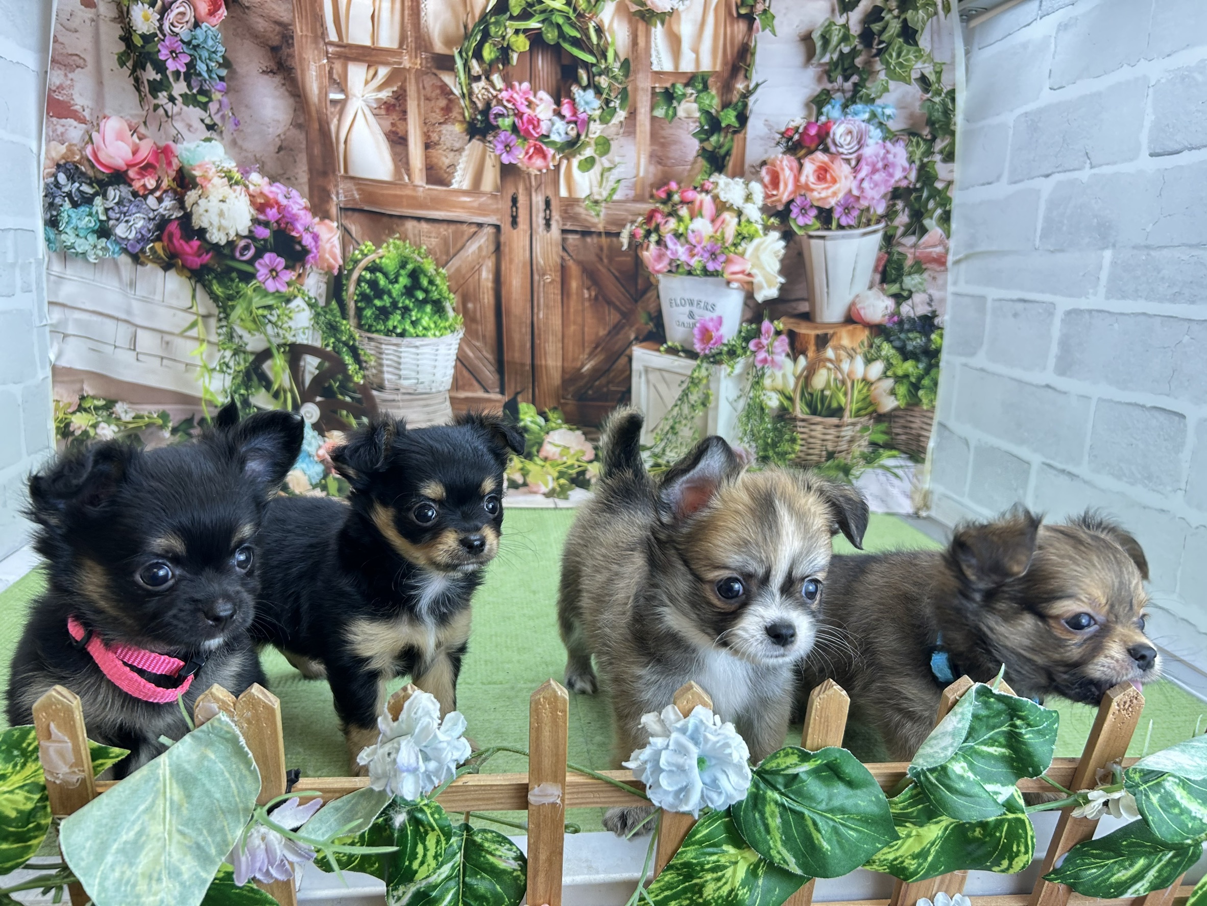 赤ちゃん写真2-3