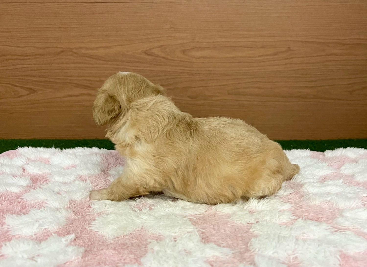 赤ちゃん写真2-2
