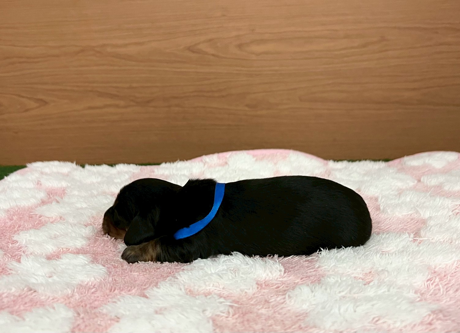 赤ちゃん写真1-2