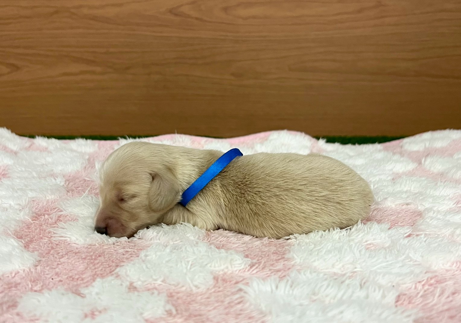 赤ちゃん写真1-2
