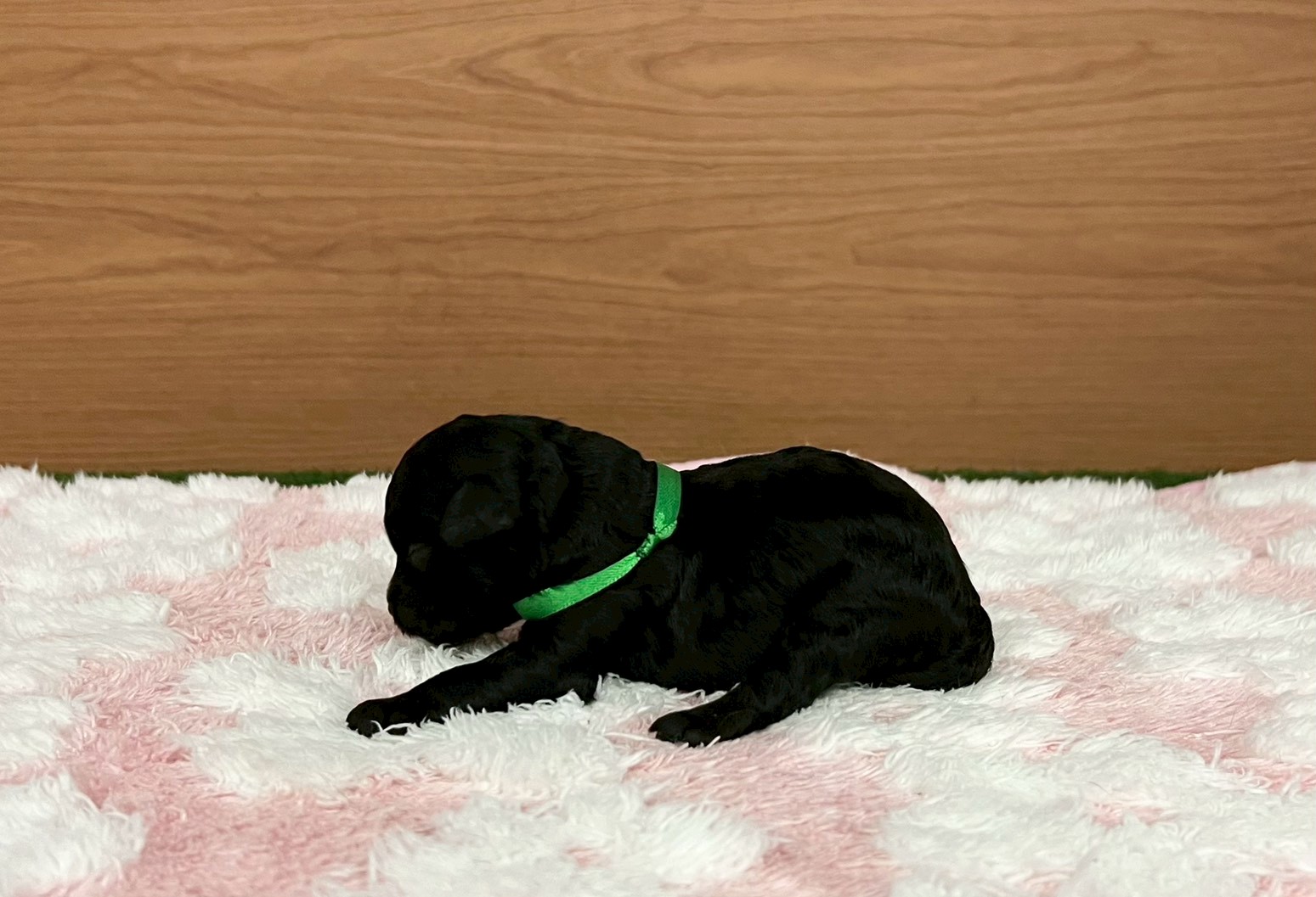 赤ちゃん写真1-2