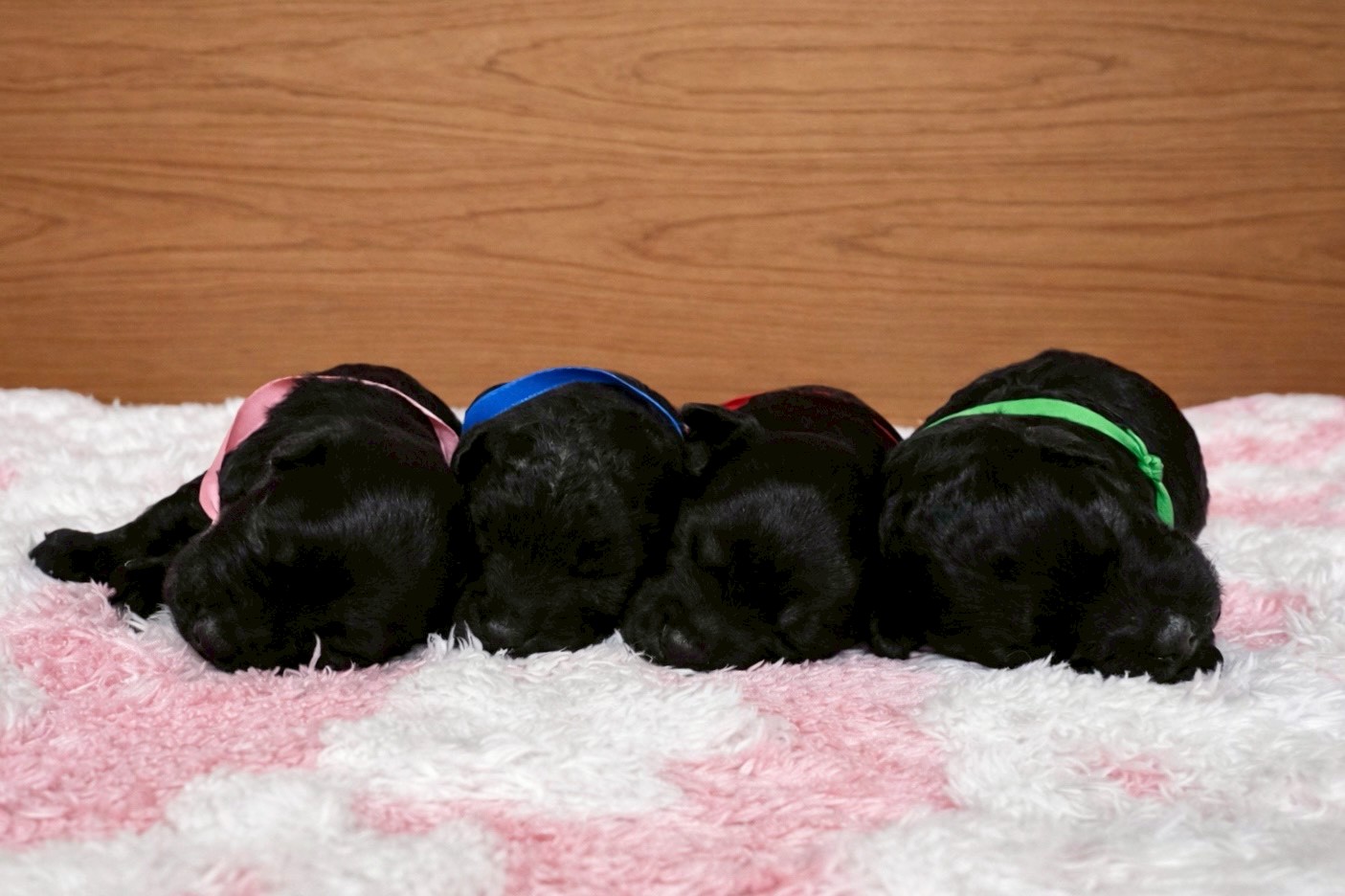 赤ちゃん写真1-3