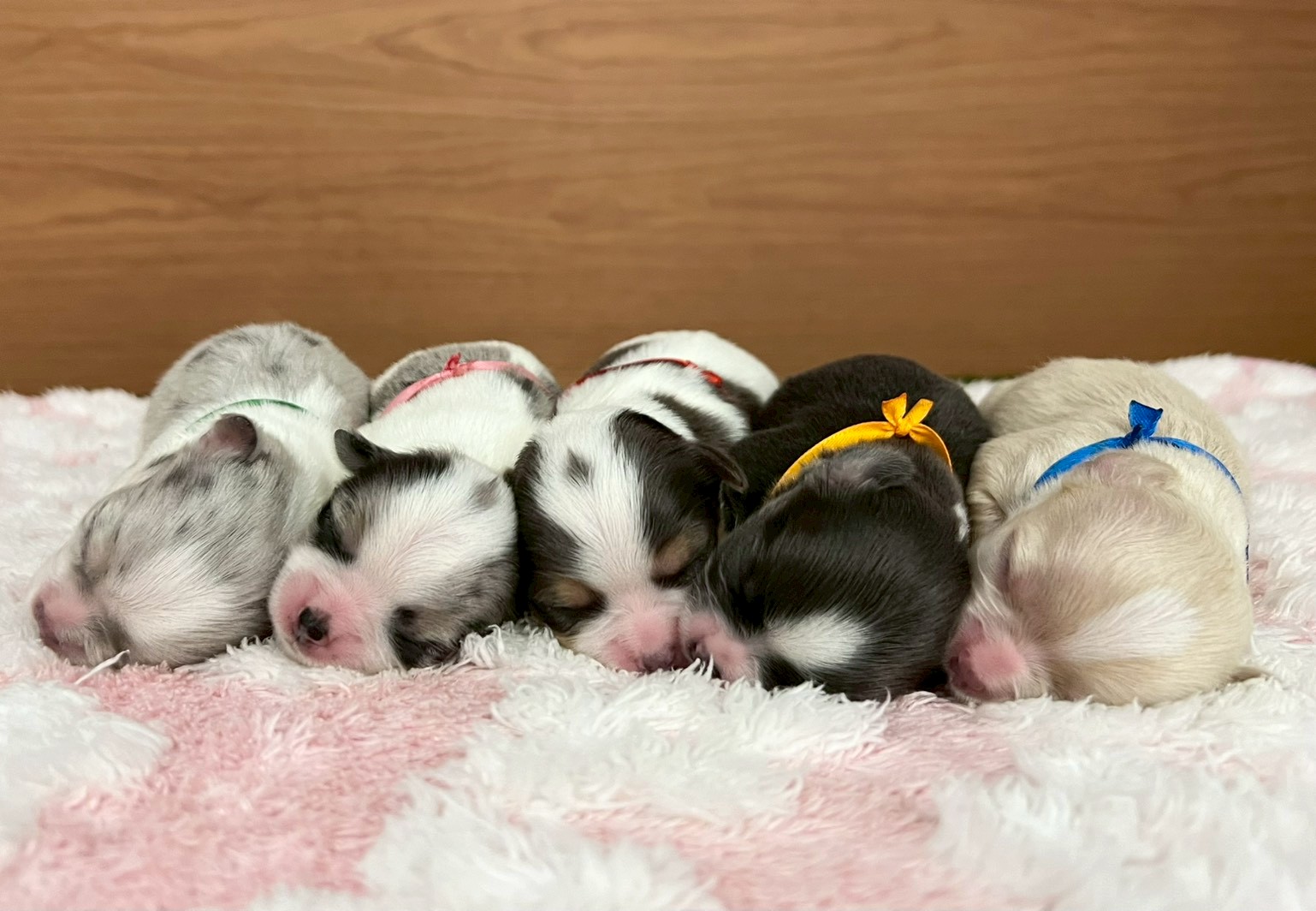 赤ちゃん写真1-3