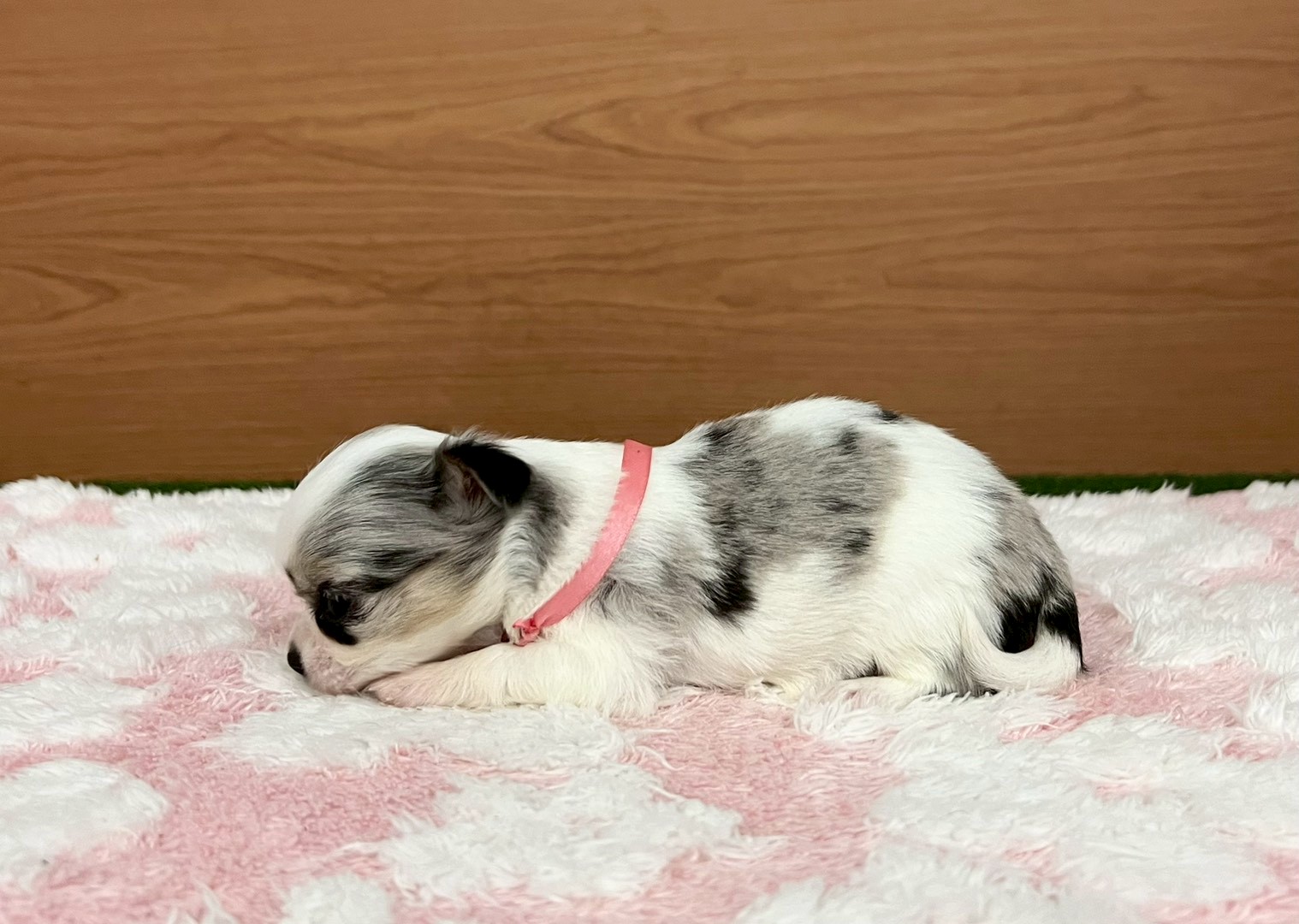 赤ちゃん写真2-2