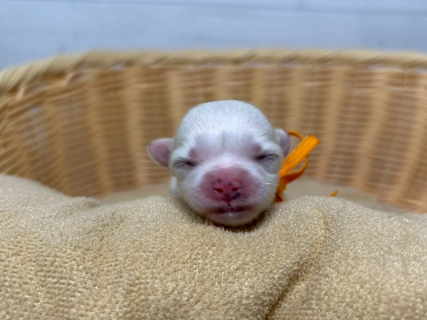 赤ちゃん写真1-1
