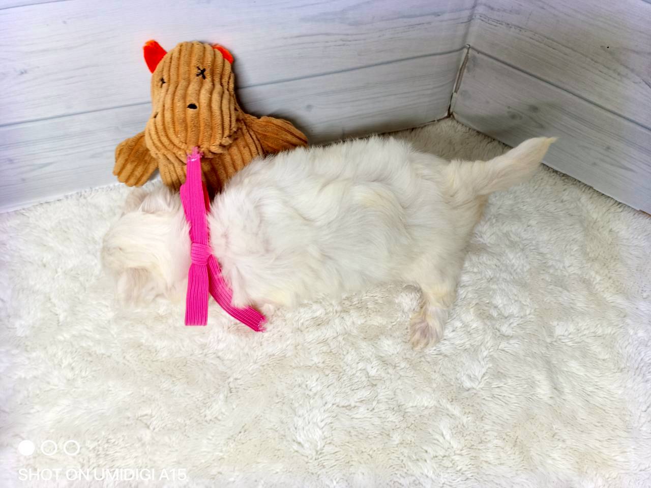 赤ちゃん写真2-3