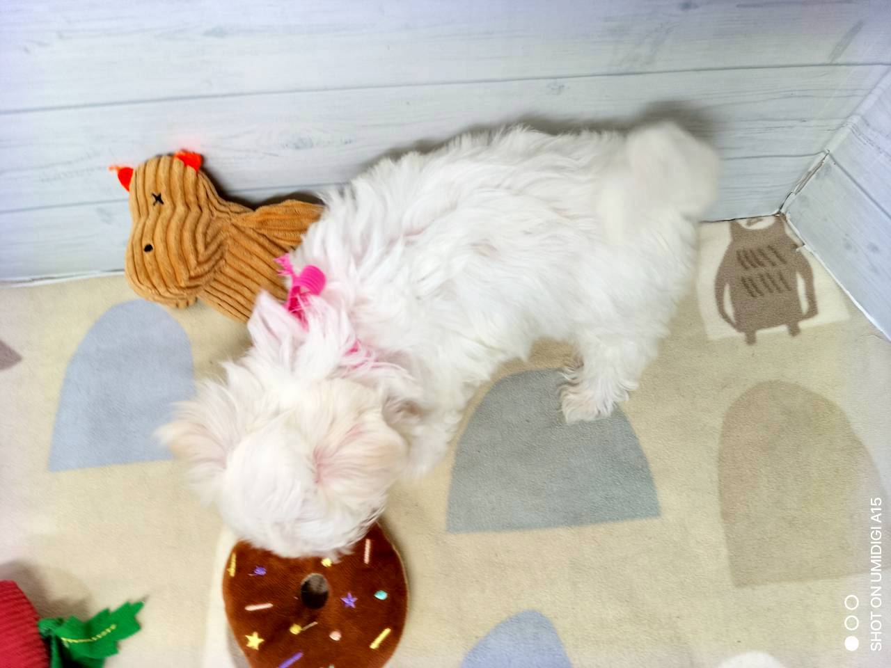 赤ちゃん写真3-3