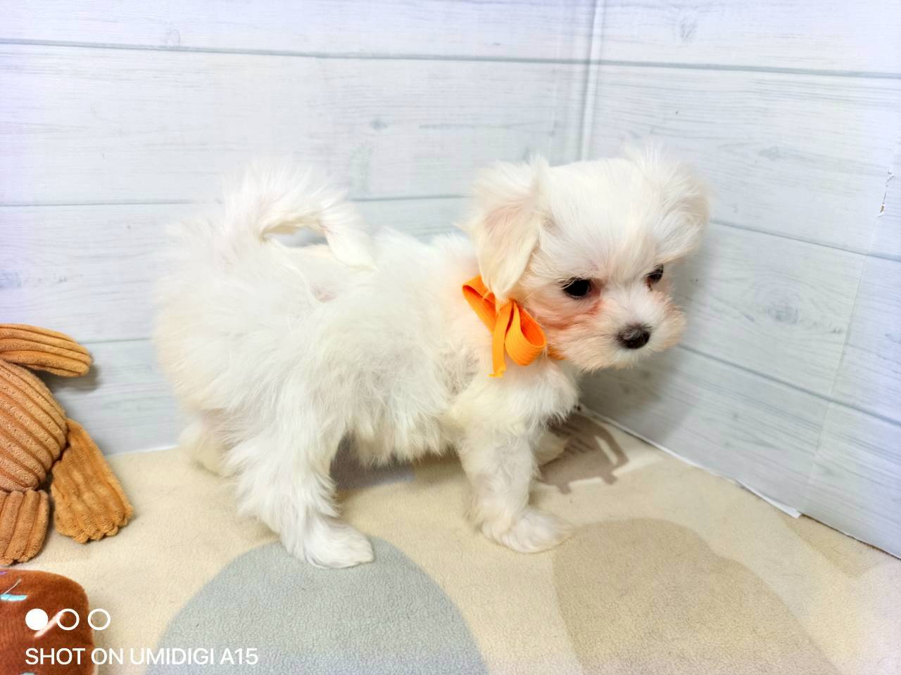 赤ちゃん写真3-2