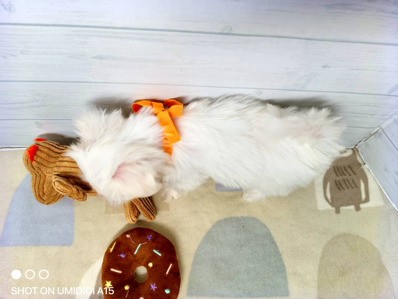 赤ちゃん写真3-3