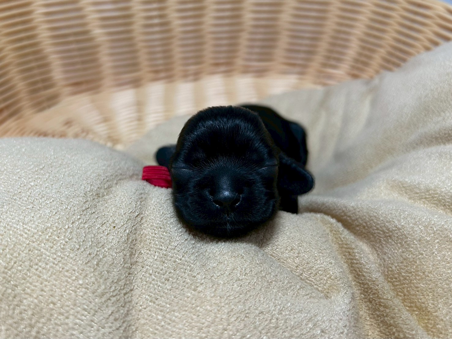 赤ちゃん写真1-1