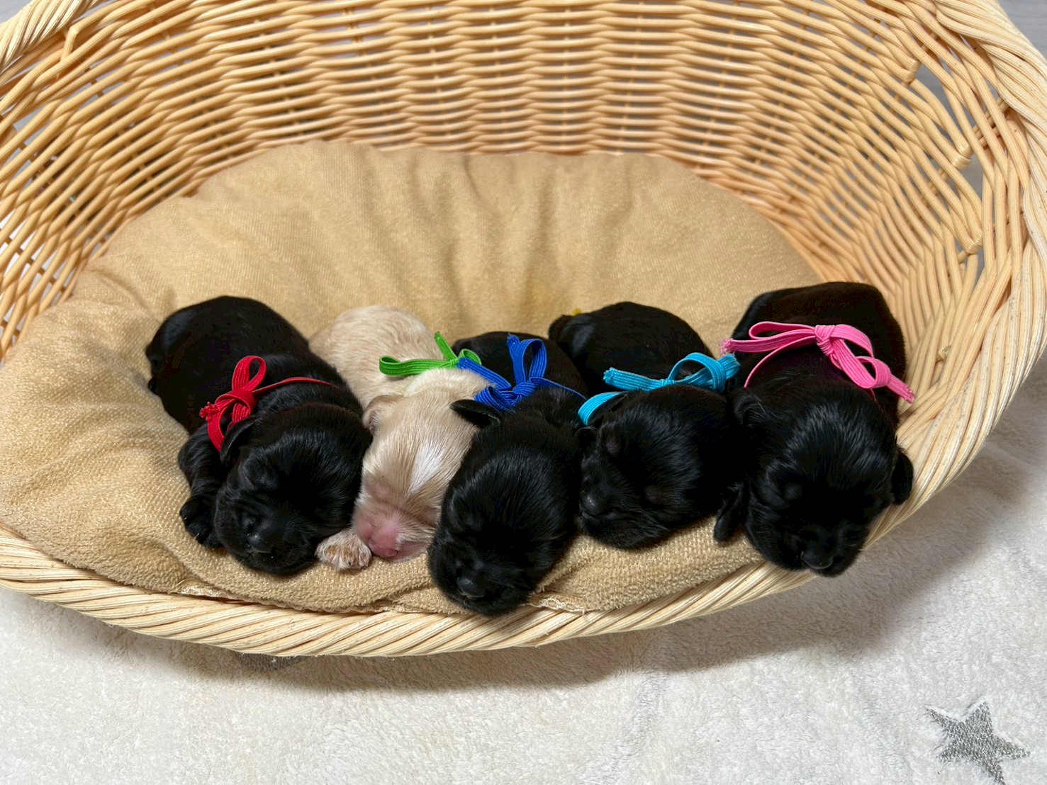 赤ちゃん写真1-3