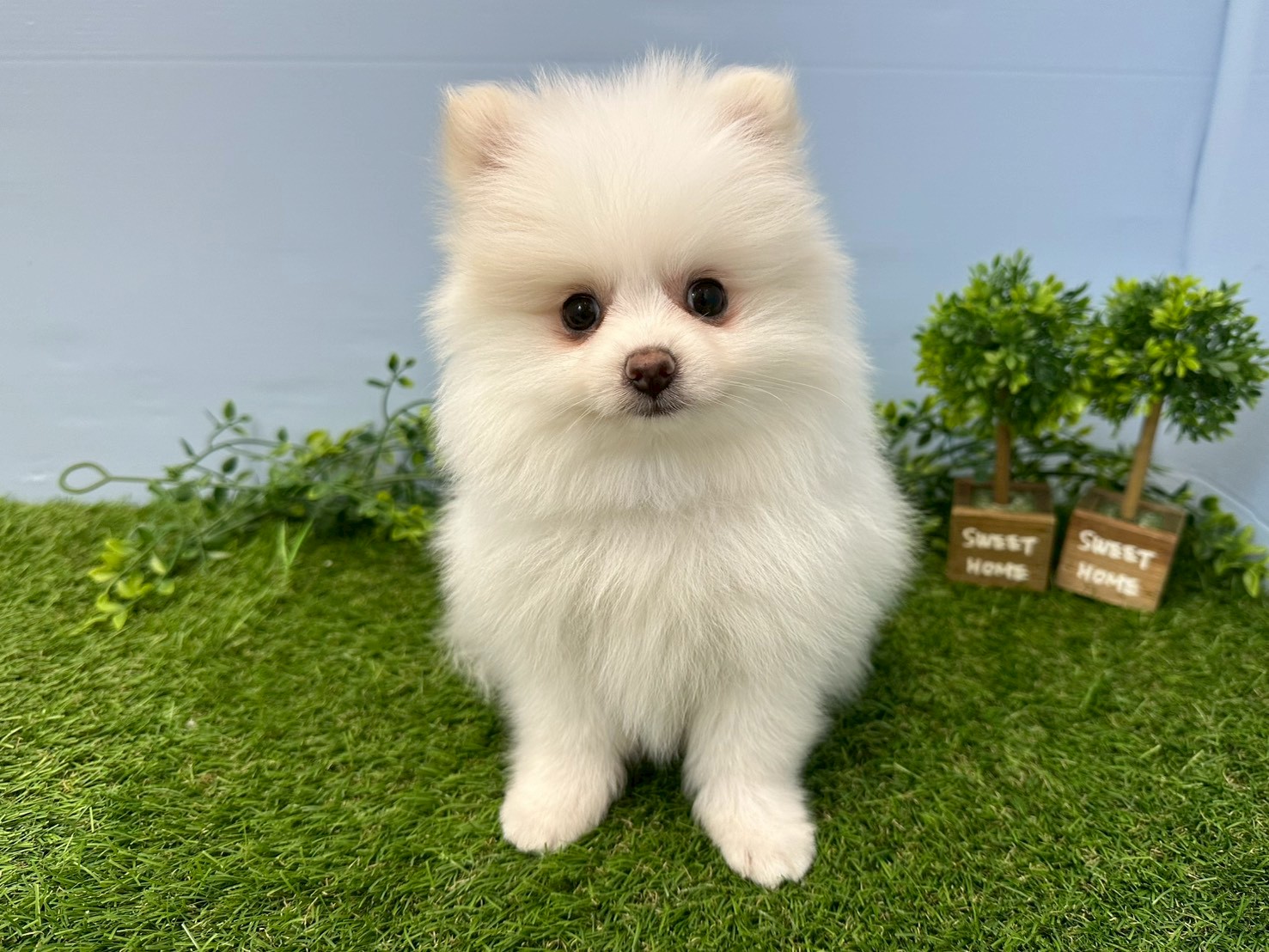 赤ちゃん写真3-1