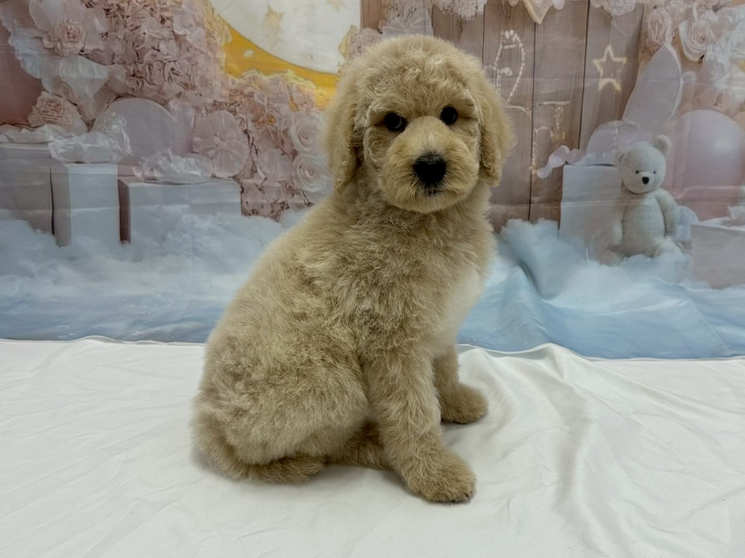 赤ちゃん写真3-2