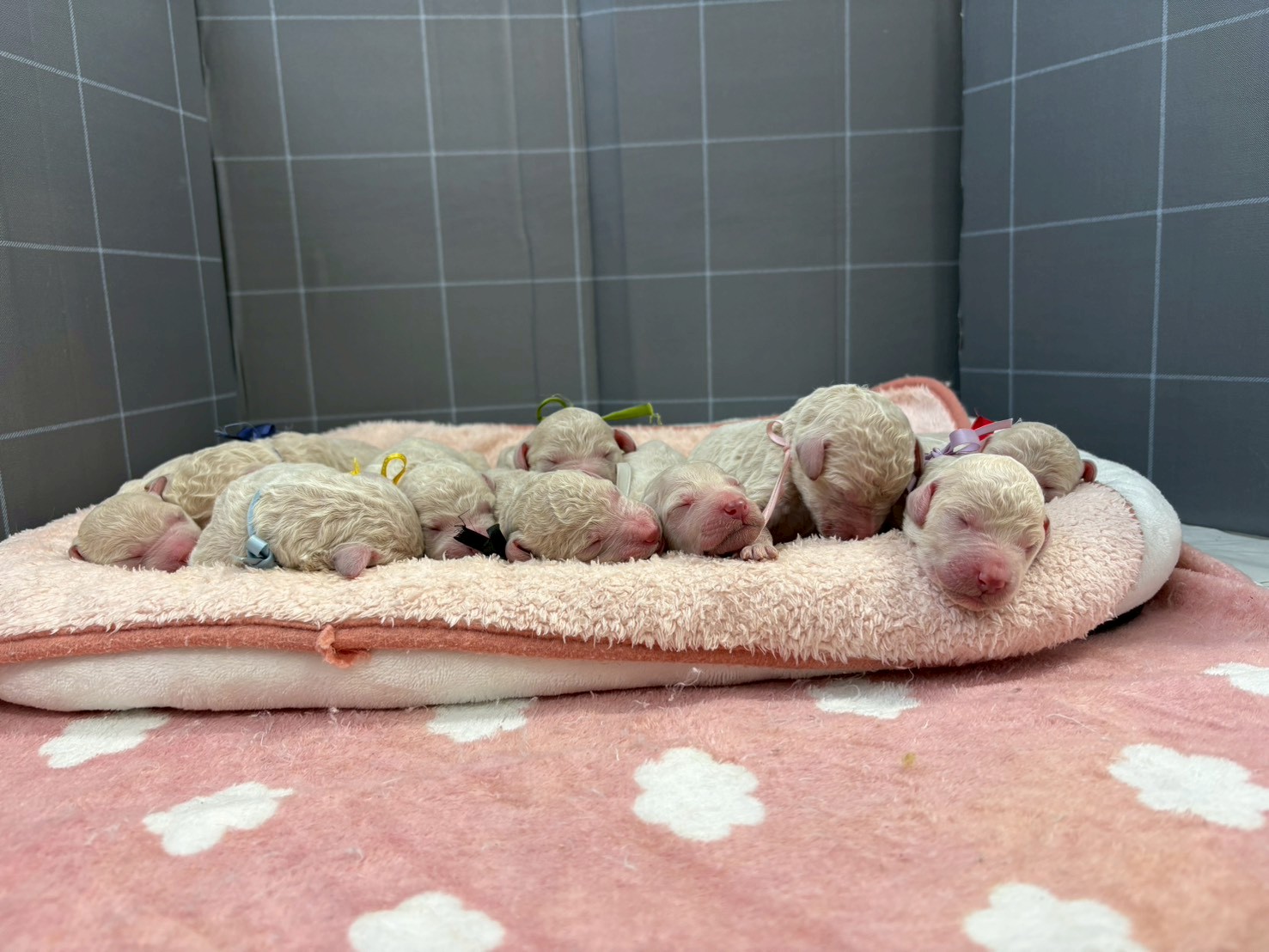 赤ちゃん写真1-3