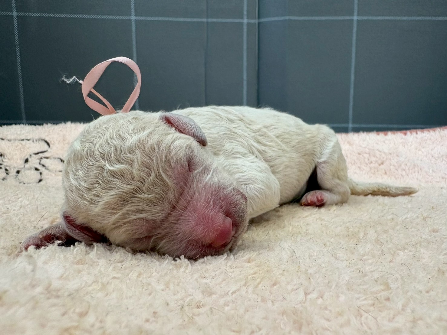 赤ちゃん写真1-1
