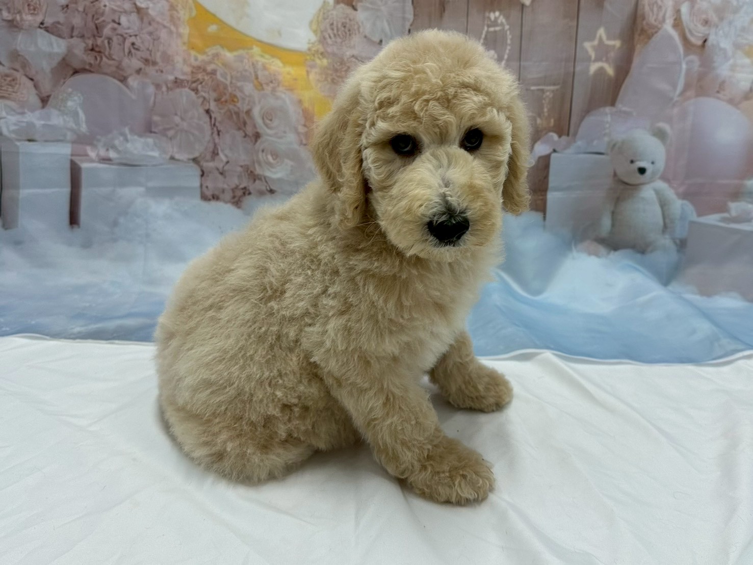 赤ちゃん写真3-2