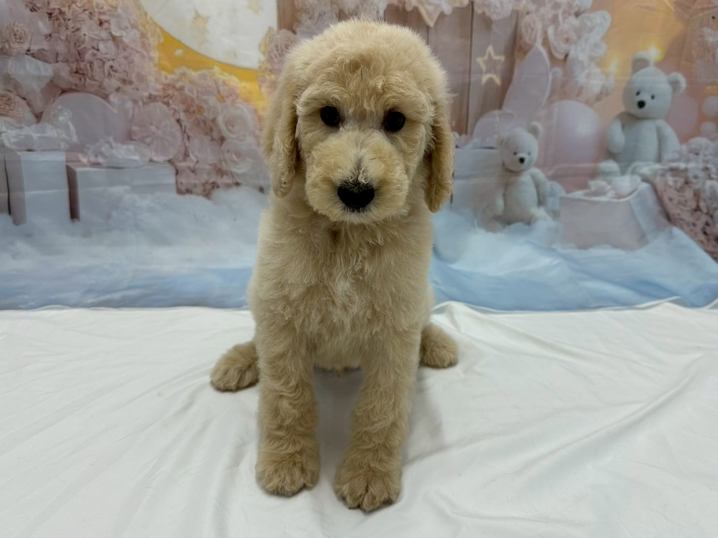 赤ちゃん写真3-1
